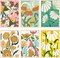 6 Pack Paint by Numbers Kits for Adults – Easy DIY Flower Canvas Painting, Acrylic & Oil Style, Unframed, Home Wall Decor, 7.8x11.8 Inch